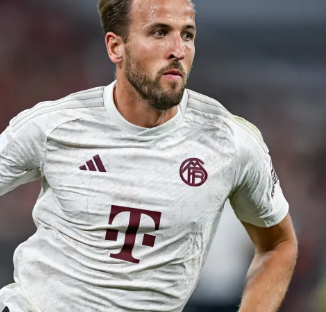 态度被视为 态度被视为