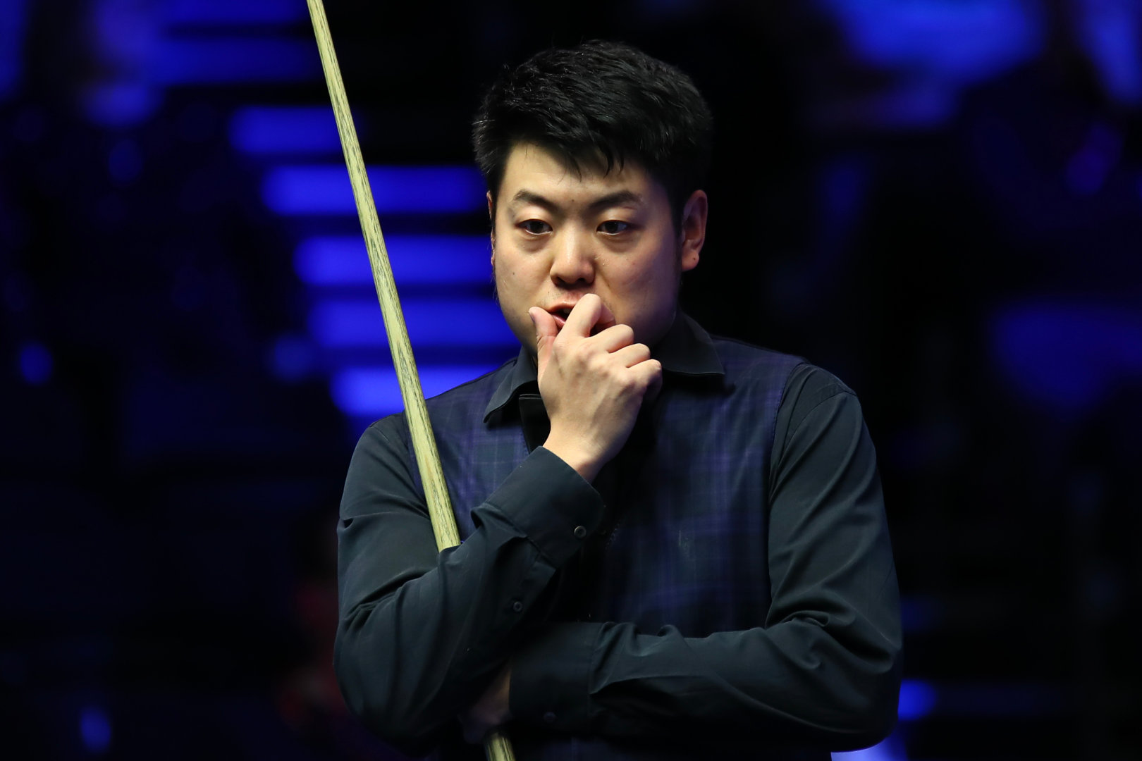 熊的胜利中 熊的胜利中